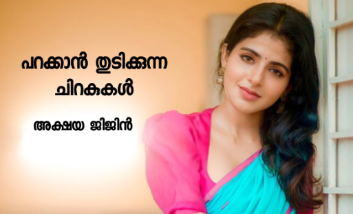 പറക്കാൻ തുടിക്കുന്ന ചിറകുകൾ : അവസാന ഭാഗം