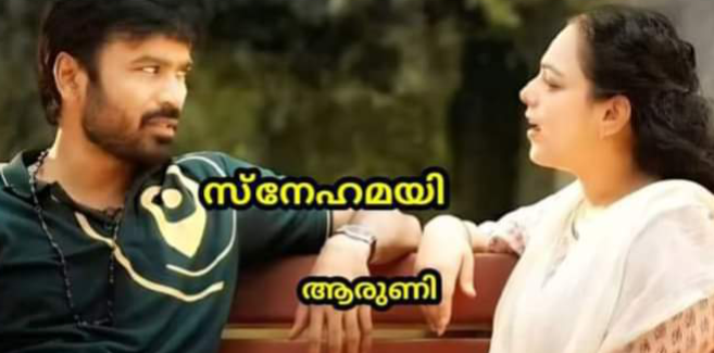 സ്നേഹമയി : ഭാഗം 35