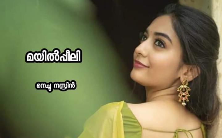മയിൽപ്പീലി : ഭാഗം 47