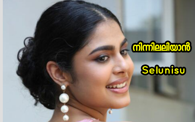 നിന്നിലലിയാൻ : അവസാന ഭാഗം