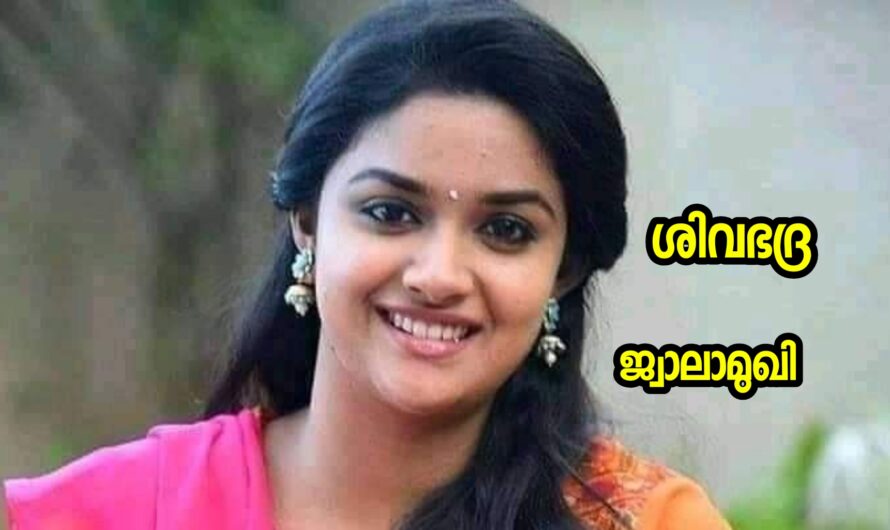 ശിവഭദ്ര : ഭാഗം 03