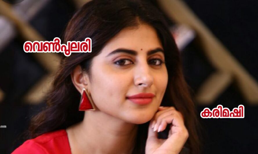 വെൺപുലരി : അവസാന ഭാഗം