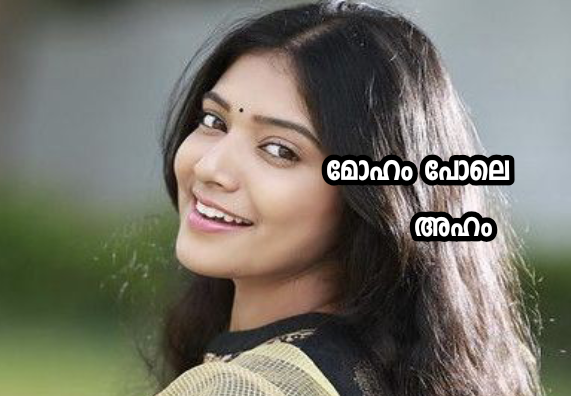 മോഹം പോലെ : അവസാന ഭാഗം